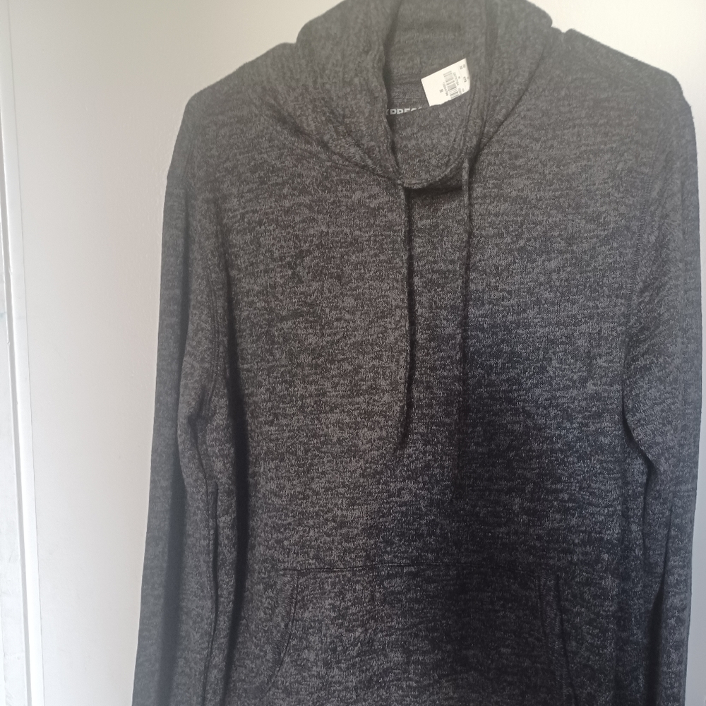 Express men's sweater